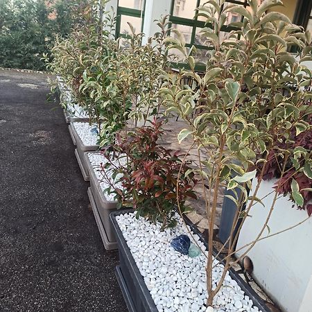 Albergo La Rovere 로베르벨라 외부 사진